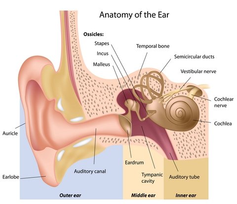 What are some good ways to relieve ear congestion?