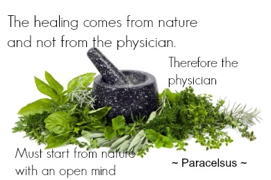 herbs and natural remedies