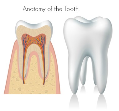 Simple and easy Toothache Home Remedies