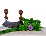 Imagine collecting herbs in your garden for your evening meal