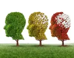 Uncover the secrets of several ways to help memory loss naturally, including the role of diet, exercise, and social interaction in maintaining brain health