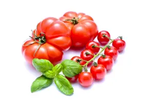 tomatoes-and-basil
