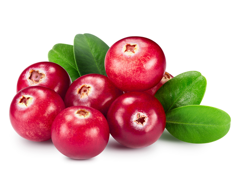 cranberries-for-gingervitis