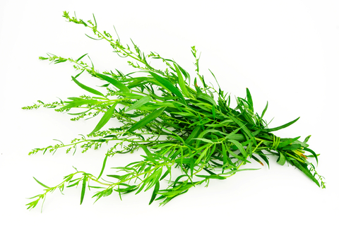 Tarragon contains nutrients which can be beneficial to your health like iron and potassium