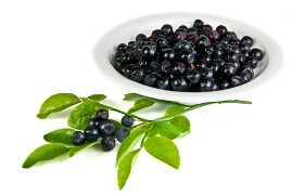 bilberries-for-cancer