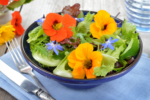 borage-salad.jpg