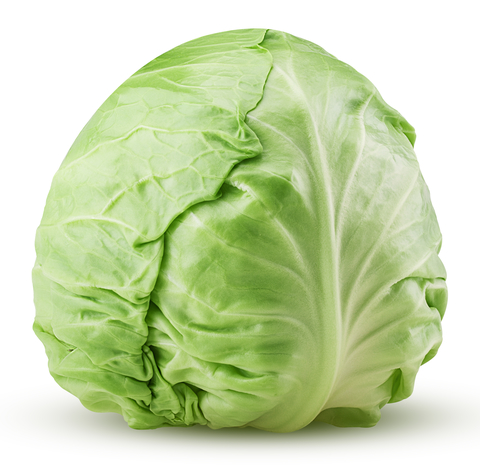cabbage looking like a brain
