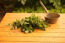 coriander-on-table.png