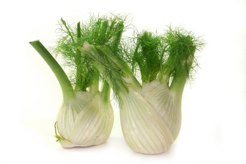 Try growing fennel and find out the various different medicinal and culinary uses for this herb