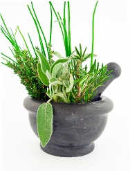 herbs-for-arthritis