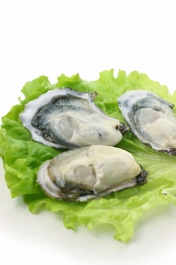 oysters