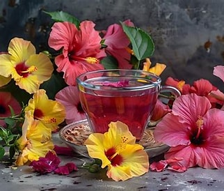 Hisbiscus Tea