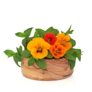 anti-bacterial-nasturtiums