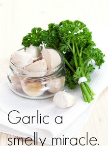 garlic