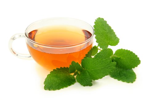 lemon-balm-tea