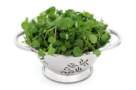 watercress for acne